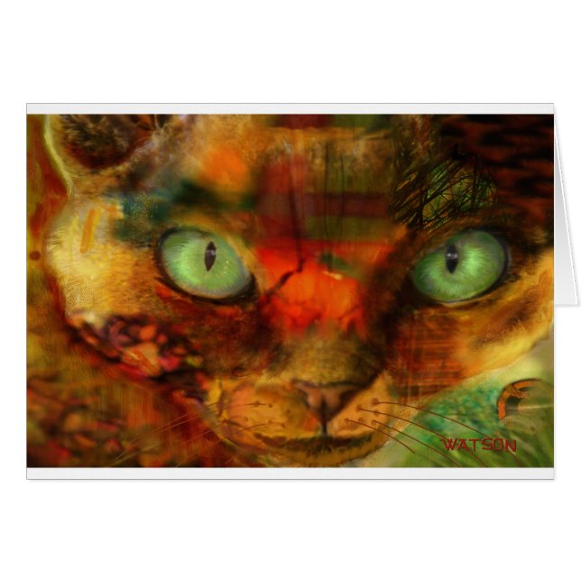 Devon Rex Close (Voorkant Horizontaal)