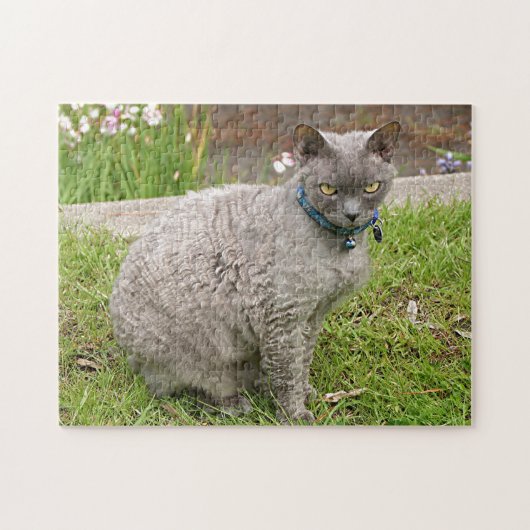 Devon Rex pet cat in tuin Legpuzzel (Horizontaal)