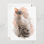 Devon Rex Sofi Briefkaart (Voorkant / Achterkant)
