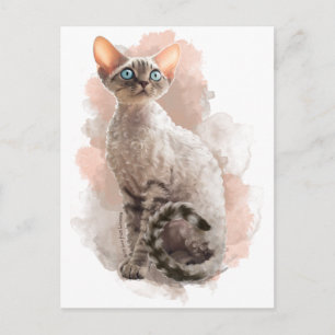 Devon Rex Sofi Briefkaart