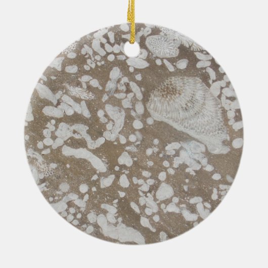 Devonian Fossil Brown & White Ornament (Achterkant)