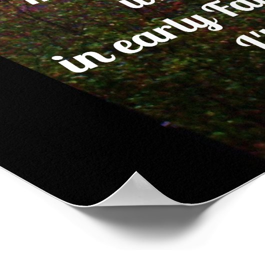 DEVRIEZ-VOUS ALLER À LA PREMIÈRE affiche (Coin)