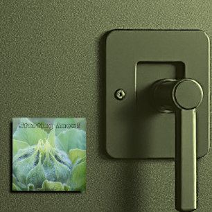 Dew bevochtigde zonnebloemknop close-up foto magneet