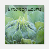 Dew bevochtigde zonnebloemknop close-up foto magneet (Voorkant)