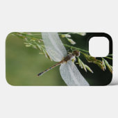 Dew cover Darner Dragonfly (Achterkant (horizontaal))