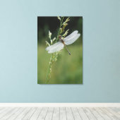Dew cover Darner Dragonfly Canvas Afdruk (Insitu (Houten vloer))