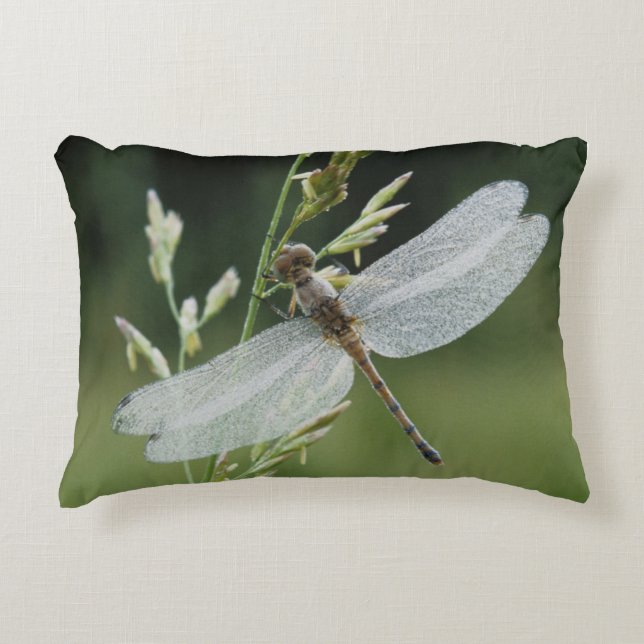 Dew cover Darner Dragonfly Decoratief Kussen (Voorkant)