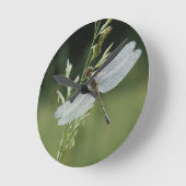 Dew cover Darner Dragonfly Ronde Klok (Hoek)