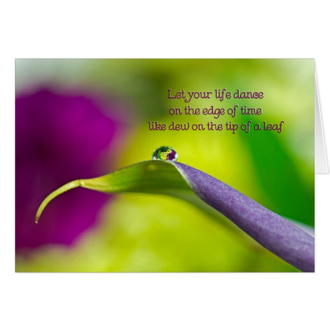 Dew Drop (Voorkant Horizontaal)