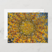 Dew Drop reflection of flower, Crescent City, Briefkaart (Voorkant / Achterkant)