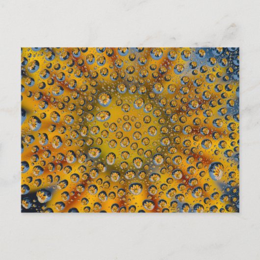 Dew Drop reflection of flower, Crescent City, Briefkaart (Voorkant)