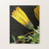 Dew Drop sur une marguerite jaune - Puzzle (Vertical)
