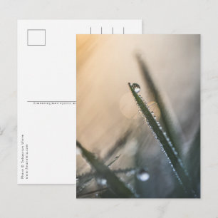 Dew Droplet op Grass floral natuur Foto Briefkaart