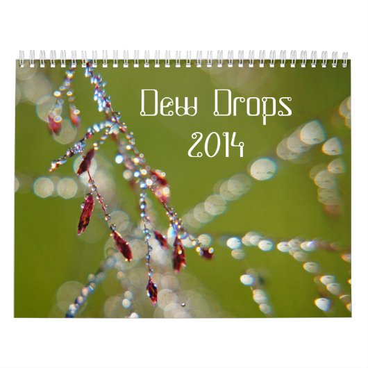 Dew Drops 2014 Agenda Kalender (Hoes)