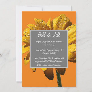 Dew Drops Daisy Wedding Kaart