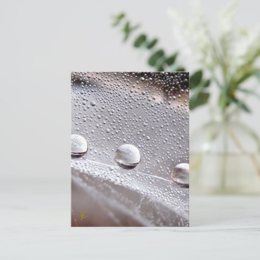 Dew Drops on Spider Web Galaxy Nature Briefkaart