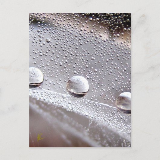 Dew Drops on Spider Web Galaxy Nature Briefkaart (Voorkant)