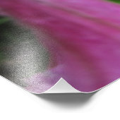 Dew Drops op roze bloemen Foto Afdruk (Hoek)