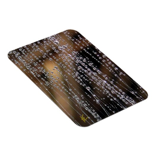 Dew Drops Sparkle on Spider Web Meditation Magneet (Rechterzijde)