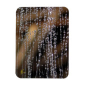 Dew Drops Sparkle on Spider Web Meditation Magneet (Verticaal)