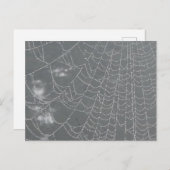 Dew Drops Spider Web DIY Briefkaart (Voorkant / Achterkant)