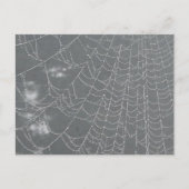 Dew Drops Spider Web DIY Briefkaart (Voorkant)