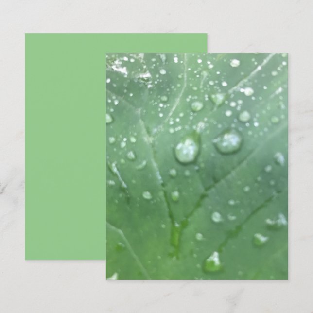 Dew druppelt groen elegant elegante bladframpapier (Voorkant / Achterkant)