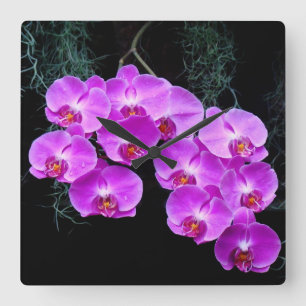 Dew Kust Orchids Wall Clock Vierkante Klok
