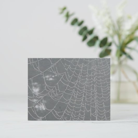 Dew laisse tomber Spider Web do-it-yourself carte (Debout devant)