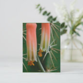 Dew op Aloe Bloom Briefkaart (Staand voorkant)
