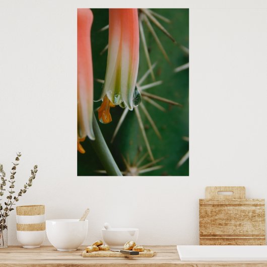 Dew op Aloe Bloom Poster (Keuken)