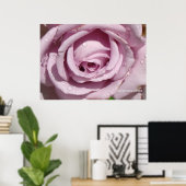 Dew op een lavendel Roos Poster (Thuiskantoor)