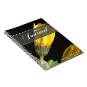 Dew sur un journal de marguerite jaune (Côté Droit)