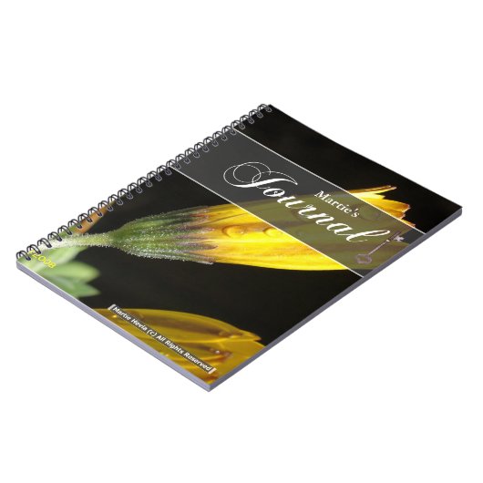 Dew sur un journal de marguerite jaune (Côté gauche)