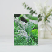 Dew Water druppels Briefkaart (Staand voorkant)