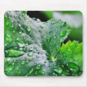 Dew Water druppels Muismat (Voorkant)