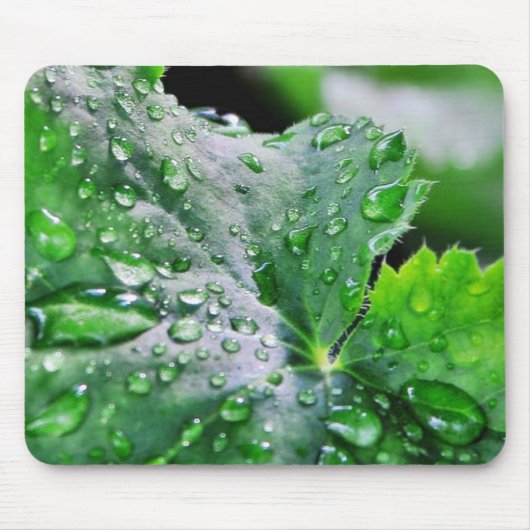 Dew Water druppels Muismat (Voorkant)