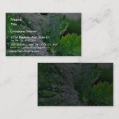 Dew Water druppels Visitekaartje (Voorkant / Achterkant)