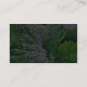 Dew Water druppels Visitekaartje (Achterkant)