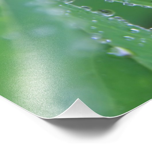 Dewdrop Foto Afdruk (Hoek)