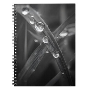 Dewdrop Grass Blade Macro Notitieboek