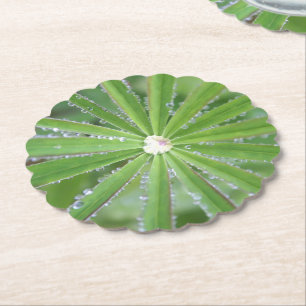 Dewdrop Kartonnen Onderzetters