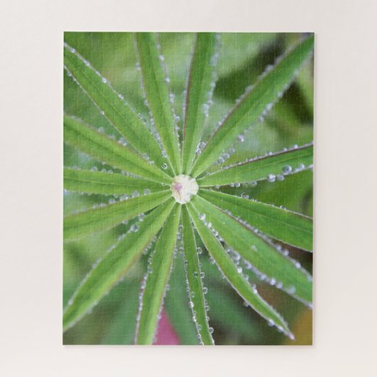 Dewdrop Legpuzzel (Verticaal)