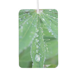 Dewdrop Luchtverfrisser