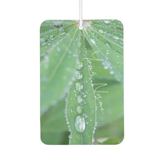 Dewdrop Luchtverfrisser (Voorkant)