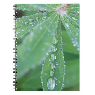 Dewdrop Notitieboek