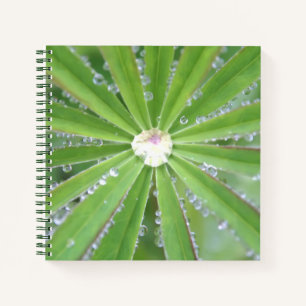 Dewdrop Notitieboek
