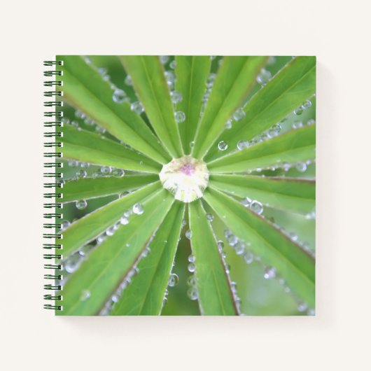 Dewdrop Notitieboek (Voorkant)