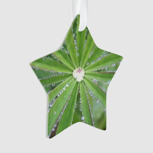 Dewdrop Ornament (voorkant)