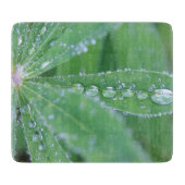 Dewdrop Snijplank (Voorkant)